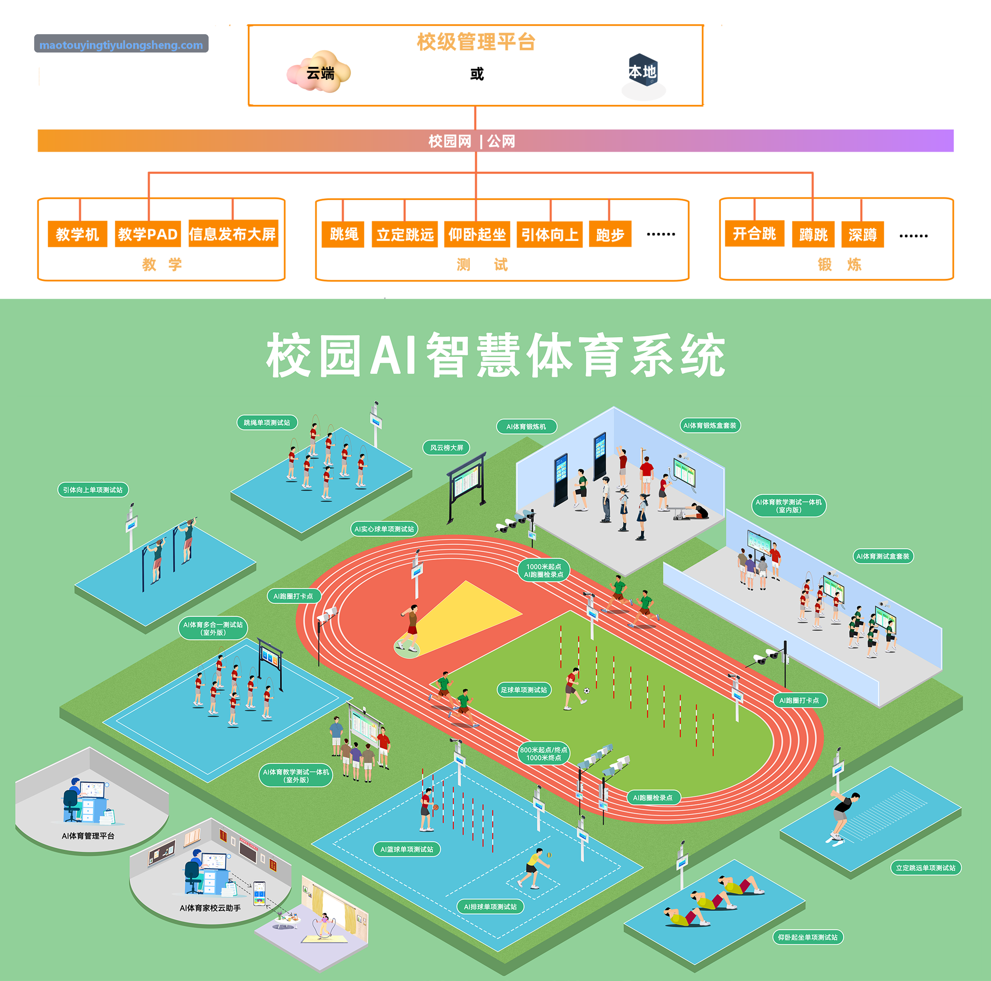 猫头鹰体育马拉松赛季自动化工作流